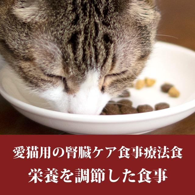 ハッピーキャット　4キロ　ダイエットニーレ 療法食 (腎臓ケア) ハッピーキャット センシティブ ダイエットニーレ (腎臓ケア