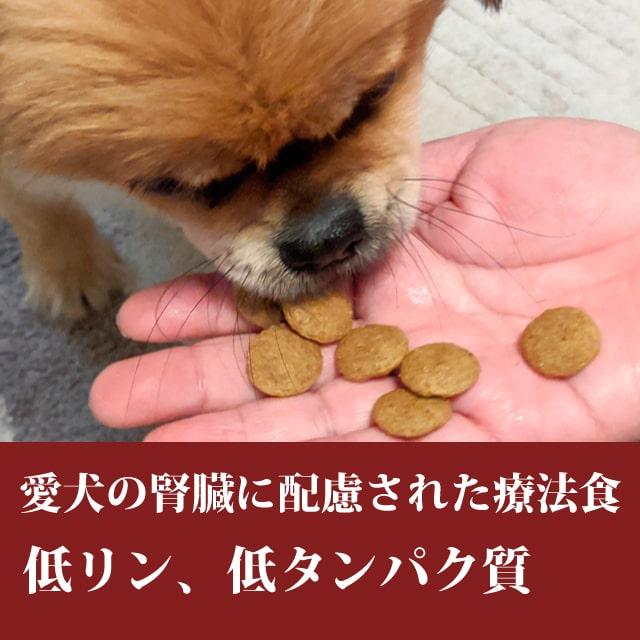 ハッピードッグ 療法食 ケアサノN(腎臓ケア) 1kg 犬用 ドッグフード ドライフード 防災 備蓄 保存食 | ハッピードッグ | 01