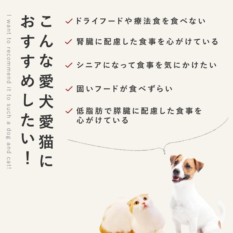 愛犬用 手作りごはん 豆腐ハンバーグ6個セット 【ハウンドカム食堂】【冷凍便】｜houndcom｜04