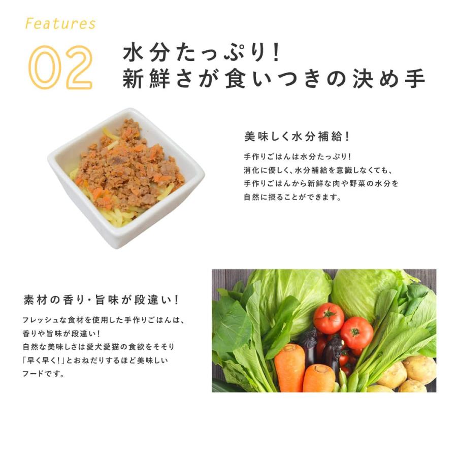 愛犬用 手作りごはん 馬肉たっぷりボロネーゼ6食セット 【ハウンドカム食堂】【冷凍便】｜houndcom｜07