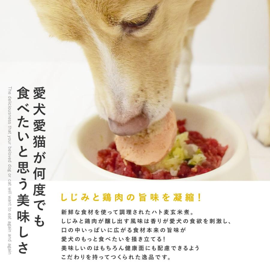 愛犬用 手作りごはん ドッグフード 餌 ご飯 チキン 小型犬 中型犬 大型犬 しじみと鶏肉のハト麦玄米煮6個セット ハウンドカム食堂 冷凍便 ...