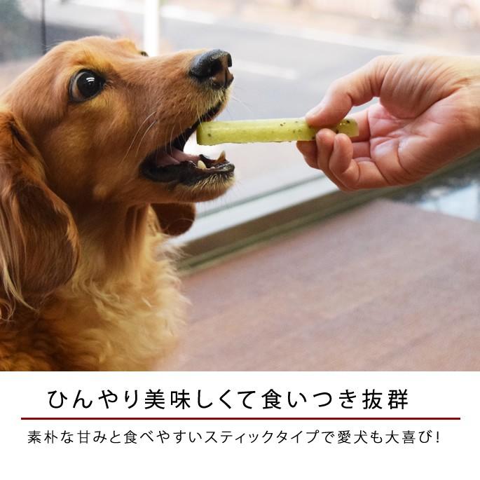 ひんやり美味しい スティック アイス キャンディー ハウンドカム食堂 Hc 0032 犬デンタルケア帝塚山ハウンドカム 通販 Yahoo ショッピング