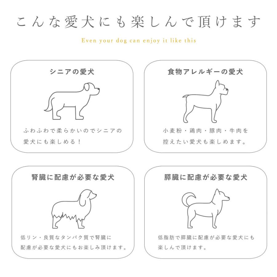 愛犬用お惣菜 馬肉のチーズインハンバーグ 5袋 約40g×5個入り×5袋 ハウンドカム食堂｜houndcom｜06