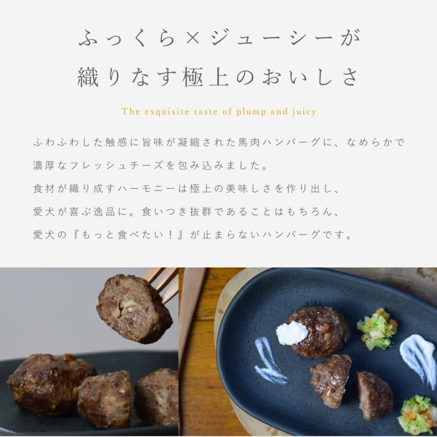 愛犬用お惣菜 馬肉のチーズインハンバーグ 5袋 約40g×5個入り×10袋＋1袋プレゼント ハウンドカム食堂｜houndcom｜02