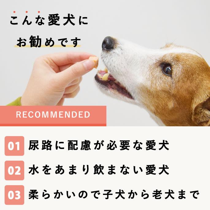 犬 おやつ とっておきのひとくちテリーヌ 尿路ケア 100g×10袋+1袋セット【ハウンドカム食堂】_10