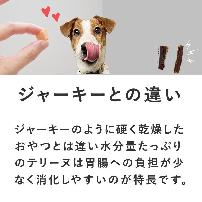 犬 おやつ とっておきのひとくちテリーヌ 尿路ケア 100g×10袋+1袋セット【ハウンドカム食堂】_11