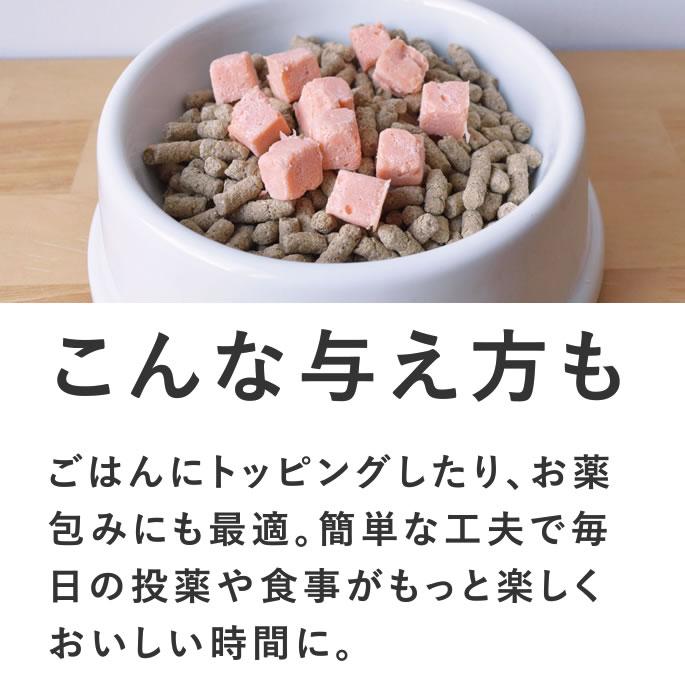 犬 おやつ とっておきのひとくちテリーヌ 尿路ケア 100g×10袋+1袋セット【ハウンドカム食堂】_13