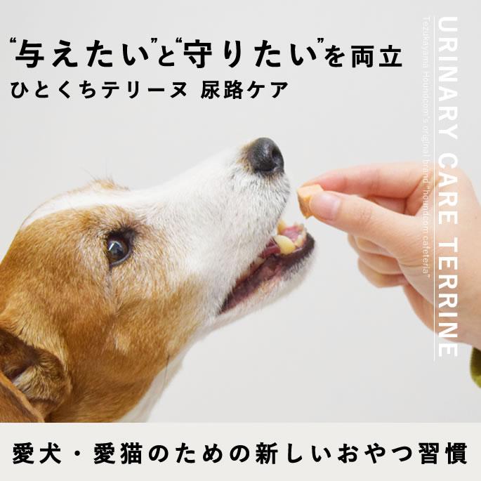 犬 おやつ とっておきのひとくちテリーヌ 尿路ケア 100g×10袋+1袋セット【ハウンドカム食堂】_1