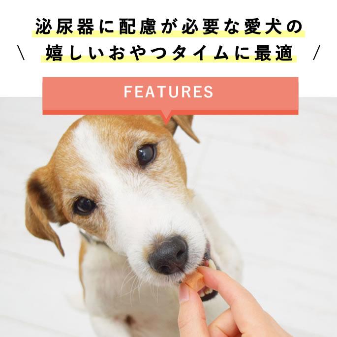 犬 おやつ とっておきのひとくちテリーヌ 尿路ケア 100g×10袋+1袋セット【ハウンドカム食堂】_2