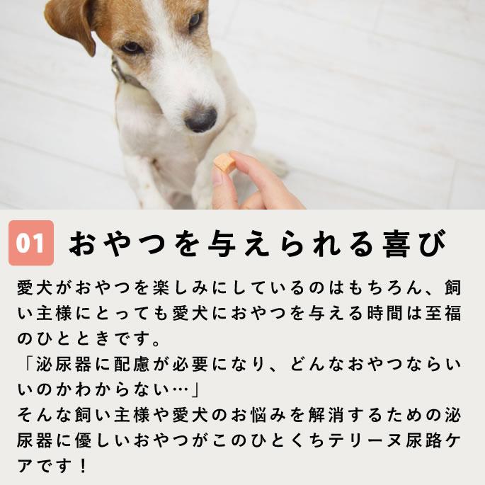 犬 おやつ とっておきのひとくちテリーヌ 尿路ケア 100g×10袋+1袋セット【ハウンドカム食堂】_3