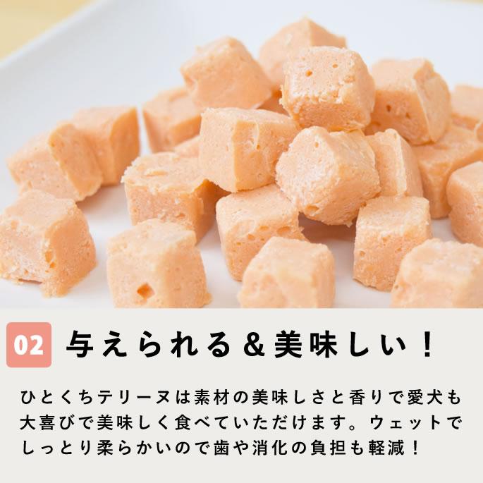 犬 おやつ とっておきのひとくちテリーヌ 尿路ケア 100g×10袋+1袋セット【ハウンドカム食堂】_4