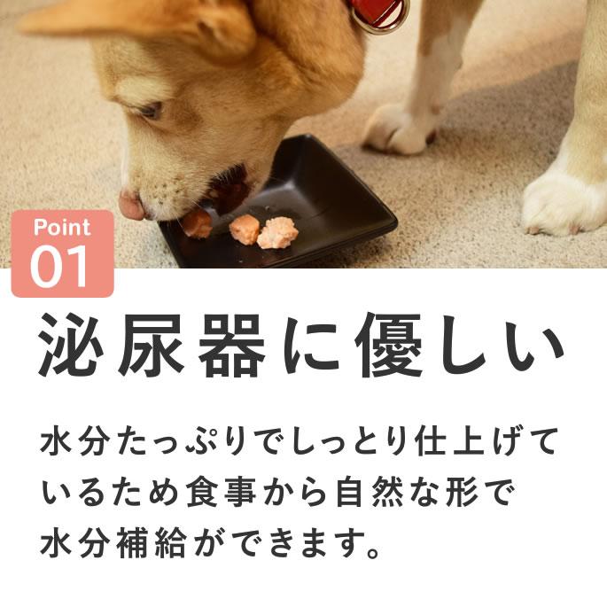 犬 おやつ とっておきのひとくちテリーヌ 尿路ケア 100g×10袋+1袋セット【ハウンドカム食堂】_6