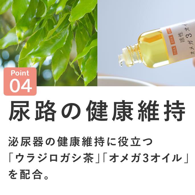 犬 おやつ とっておきのひとくちテリーヌ 尿路ケア 100g×10袋+1袋セット【ハウンドカム食堂】_9