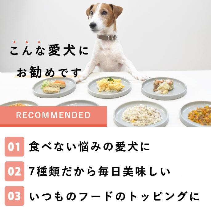 愛犬用 手作りごはん ドッグフード ウェットフード 餌 小型犬 中型犬 大型犬 低カロリーで美味しい7食セット ハウンドカム食堂 | 帝塚山ハウンドカム | 16