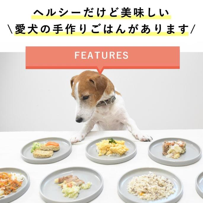 愛犬用 手作りごはん ドッグフード ウェットフード 餌 小型犬 中型犬 大型犬 低カロリーで美味しい7食セット ハウンドカム食堂 | 帝塚山ハウンドカム | 01