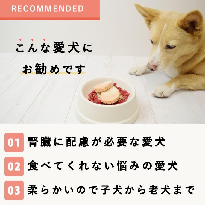 犬 冷凍 ドッグフード 低リンで腎臓に優しい7食Aセット 手作り ごはん 低リン 腎臓 ご飯 トッピング ウェットフード | 帝塚山ハウンドカム | 17