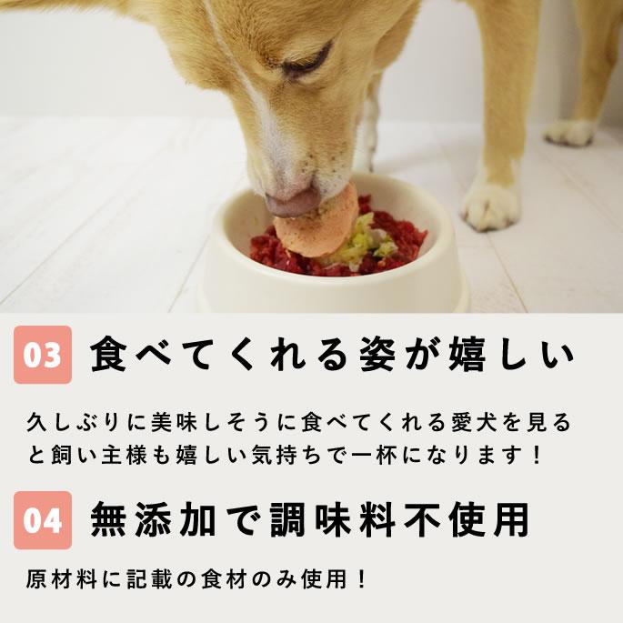 犬 冷凍 ドッグフード 低リンで腎臓に優しい7食Aセット 手作り ごはん 低リン 腎臓 ご飯 トッピング ウェットフード | 帝塚山ハウンドカム | 03