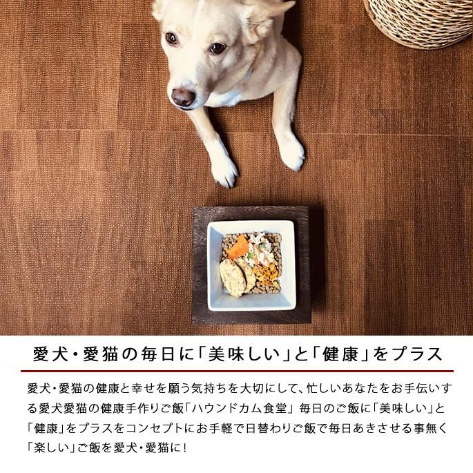 8月限定 毎日が美味しいaセットお試し3食 ハウンドカム食堂 Hc Set0006 犬手作りごはん帝塚山ハウンドカム 通販 Yahoo ショッピング