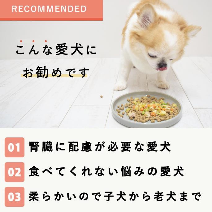 愛犬用 手作りごはん 低リンで腎臓に優しい7食Bセット | 帝塚山ハウンドカム | 18