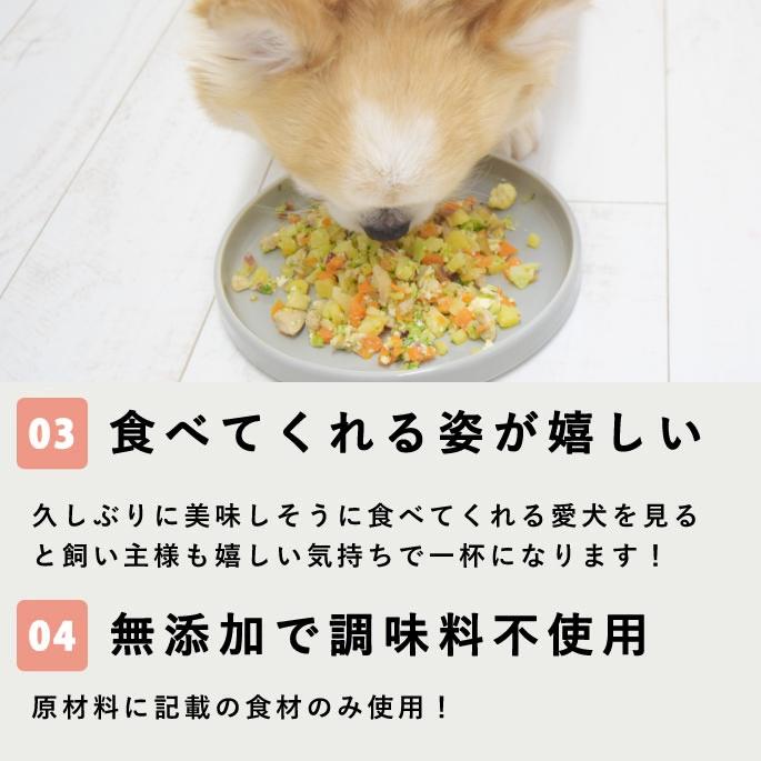 愛犬用 手作りごはん 低リンで腎臓に優しい7食Bセット | 帝塚山ハウンドカム | 04
