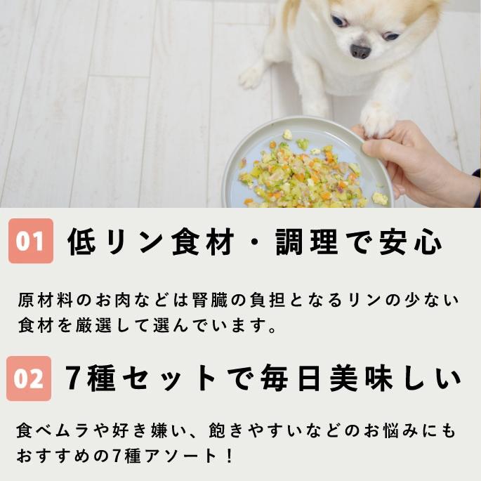 【ギフトBOX付】愛犬用 手作りごはん 低リンで腎臓に優しい7食Bセット | 帝塚山ハウンドカム | 03