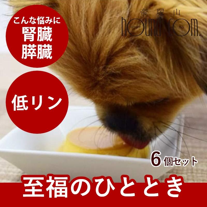 愛犬用 食堂の手作りプリン 6個セット ハウンドカム食堂 Hc Set0019 犬手作りごはん帝塚山ハウンドカム 通販 Yahoo ショッピング