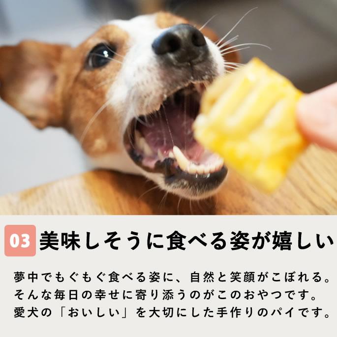 犬 おやつ 手作りアップルパイ 6個入り【ハウンドカム食堂】【冷凍便】 | 帝塚山ハウンドカム | 04