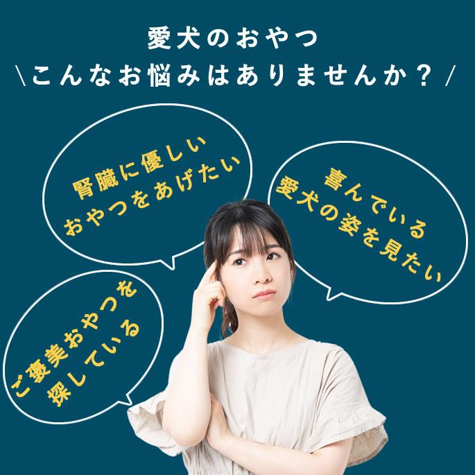 犬 おやつ 手作りアップルパイ 6個入り【ハウンドカム食堂】【冷凍便】 | 帝塚山ハウンドカム | 06