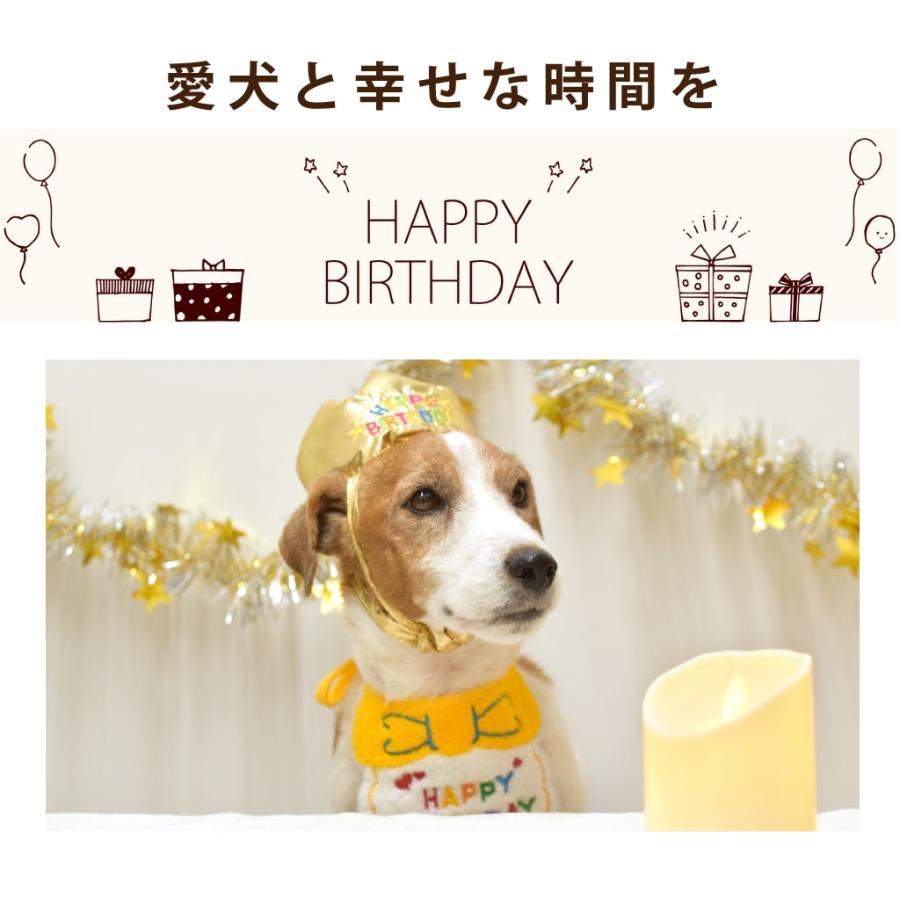 犬 おやつ 犬用スイーツ ドッグフード 誕生日 ケーキ 食いつき抜群 柔らかい 食堂の手作りレアチーズケーキ 冷凍配送 ハウンドカム食堂 | 帝塚山ハウンドカム | 04