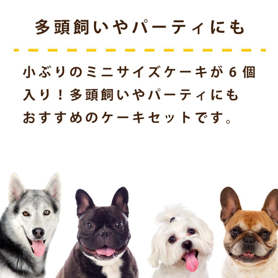 犬 おやつ 犬用スイーツ ドッグフード 誕生日 ケーキ 食いつき抜群 柔らかい 食堂の手作りレアチーズケーキ 冷凍配送 ハウンドカム食堂 | 帝塚山ハウンドカム | 06