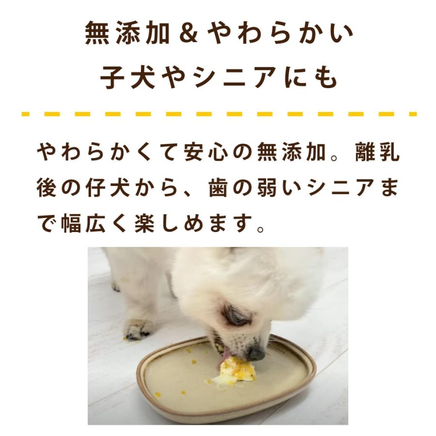 犬 おやつ 犬用スイーツ ドッグフード 誕生日 ケーキ 食いつき抜群 柔らかい 食堂の手作りレアチーズケーキ 冷凍配送 ハウンドカム食堂 | 帝塚山ハウンドカム | 08