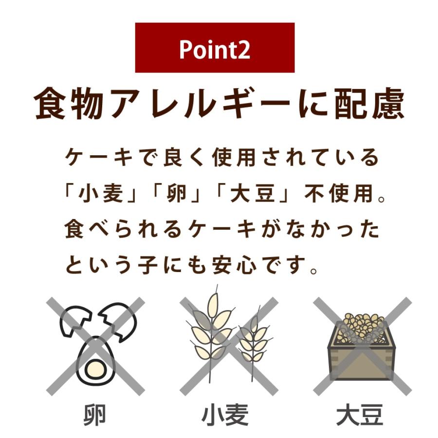 犬 おやつ 犬用スイーツ ドッグフード 誕生日 ケーキ 食いつき抜群 柔らかい 食堂の手作りレアチーズケーキ 冷凍配送 ハウンドカム食堂 | 帝塚山ハウンドカム | 12