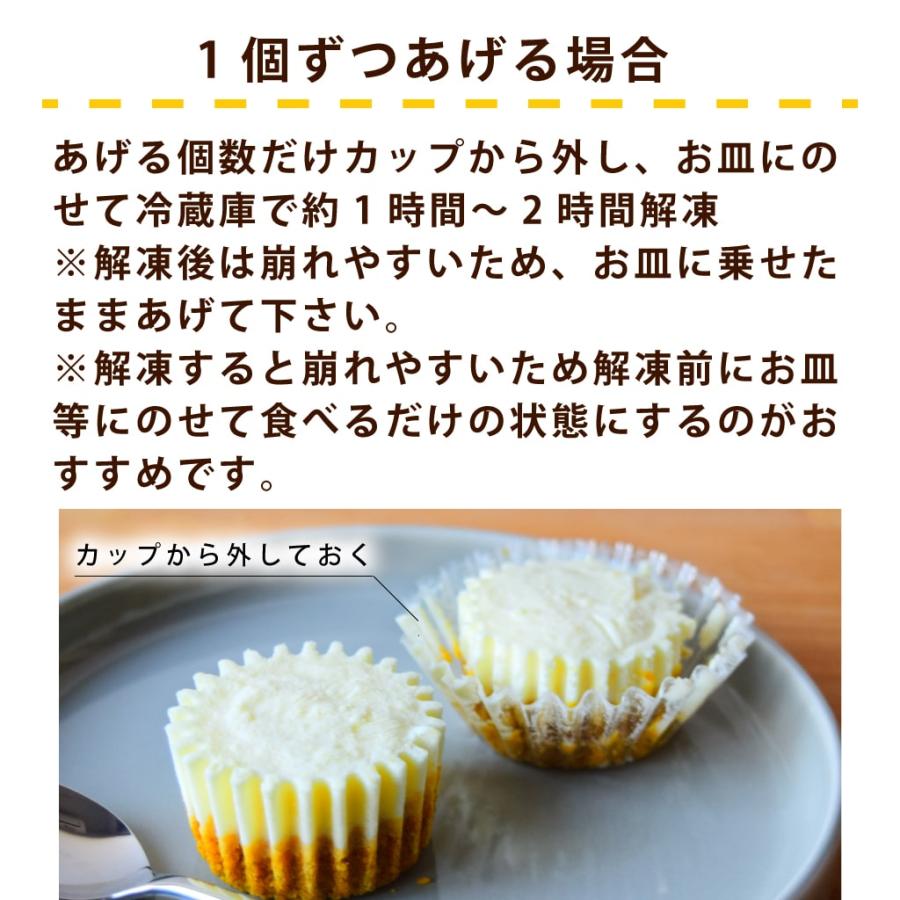 犬 おやつ 犬用スイーツ ドッグフード 誕生日 ケーキ 食いつき抜群 柔らかい 食堂の手作りレアチーズケーキ 冷凍配送 ハウンドカム食堂 | 帝塚山ハウンドカム | 14