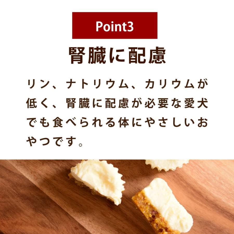 犬 おやつ 犬用スイーツ ドッグフード 誕生日 ケーキ 食いつき抜群 柔らかい 食堂の手作りレアチーズケーキ 冷凍配送 ハウンドカム食堂 | 帝塚山ハウンドカム | 13