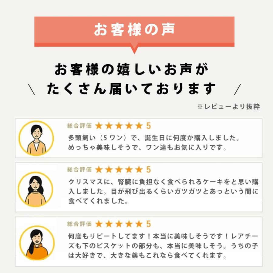 犬 おやつ 犬用スイーツ ドッグフード 誕生日 ケーキ 食いつき抜群 柔らかい 食堂の手作りレアチーズケーキ 冷凍配送 ハウンドカム食堂 | 帝塚山ハウンドカム | 16