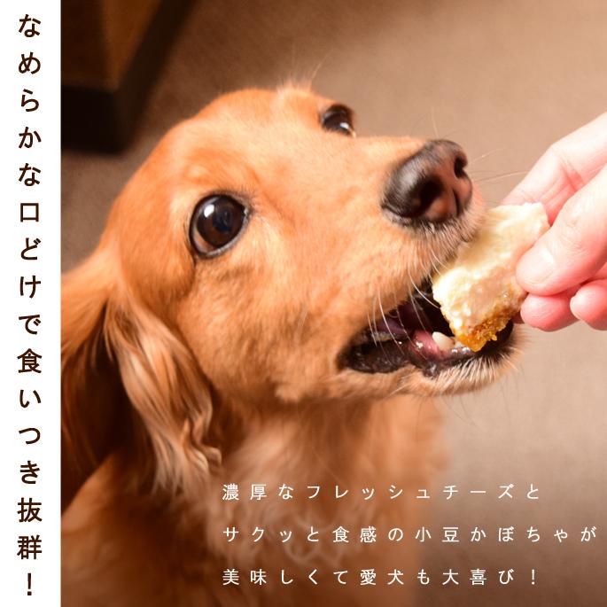 犬 おやつ 犬用スイーツ ドッグフード 誕生日 ケーキ 食いつき抜群 柔らかい 食堂の手作りレアチーズケーキ 冷凍配送 ハウンドカム食堂 | 帝塚山ハウンドカム | 09