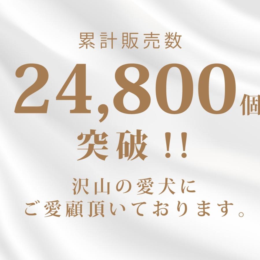 犬 おやつ 犬用スイーツ ドッグフード 誕生日 ケーキ 食いつき抜群 柔らかい 食堂の手作りレアチーズケーキ 冷凍配送 ハウンドカム食堂 | 帝塚山ハウンドカム | 01