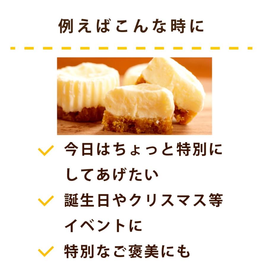 犬 おやつ 犬用スイーツ ドッグフード 誕生日 ケーキ 食いつき抜群 柔らかい 食堂の手作りレアチーズケーキ 冷凍配送 ハウンドカム食堂 | 帝塚山ハウンドカム | 03