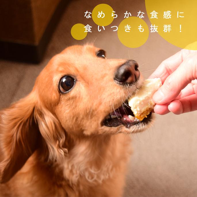 犬 おやつ 犬用スイーツ ドッグフード 砂糖不使用 無添加 誕生日 お祝い 食堂手作り人気スイーツセット ハウンドカム食堂 | 帝塚山ハウンドカム | 10