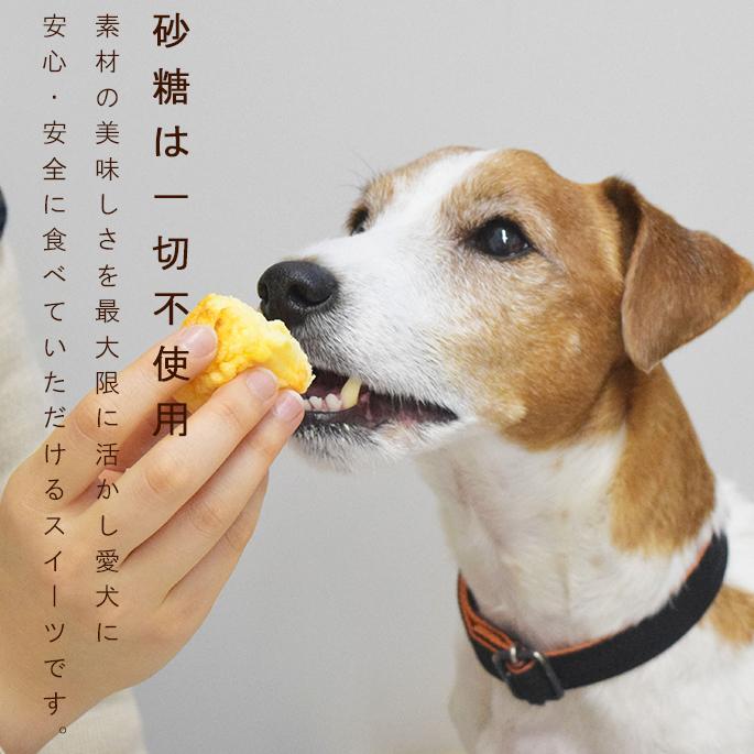 犬 おやつ 犬用スイーツ ドッグフード 砂糖不使用 無添加 誕生日 お祝い 食堂手作り人気スイーツセット ハウンドカム食堂 | 帝塚山ハウンドカム | 02