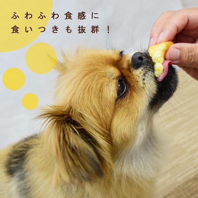 犬 おやつ 犬用スイーツ ドッグフード 砂糖不使用 無添加 誕生日 お祝い 食堂手作り人気スイーツセット ハウンドカム食堂 | 帝塚山ハウンドカム | 04