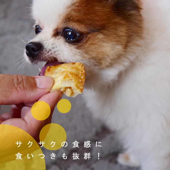 犬 おやつ 犬用スイーツ ドッグフード 砂糖不使用 無添加 誕生日 お祝い 食堂手作り人気スイーツセット ハウンドカム食堂 | 帝塚山ハウンドカム | 08