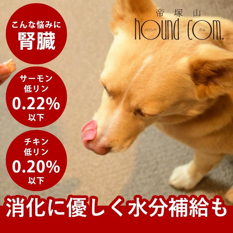 犬 おやつ 猫 ドッグフード ウェット ジャーキーとっておきのひとくちテリーヌ お試し2種セット (サーモン・チキン) 100g×2 ハウンドカム食堂 | 帝塚山ハウンドカム
