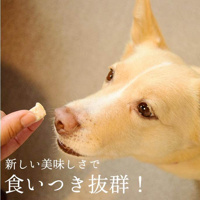 犬 おやつ 猫 ドッグフード ウェット ジャーキーとっておきのひとくちテリーヌ お試し2種セット (サーモン・チキン) 100g×2 ハウンドカム食堂 | 帝塚山ハウンドカム | 01