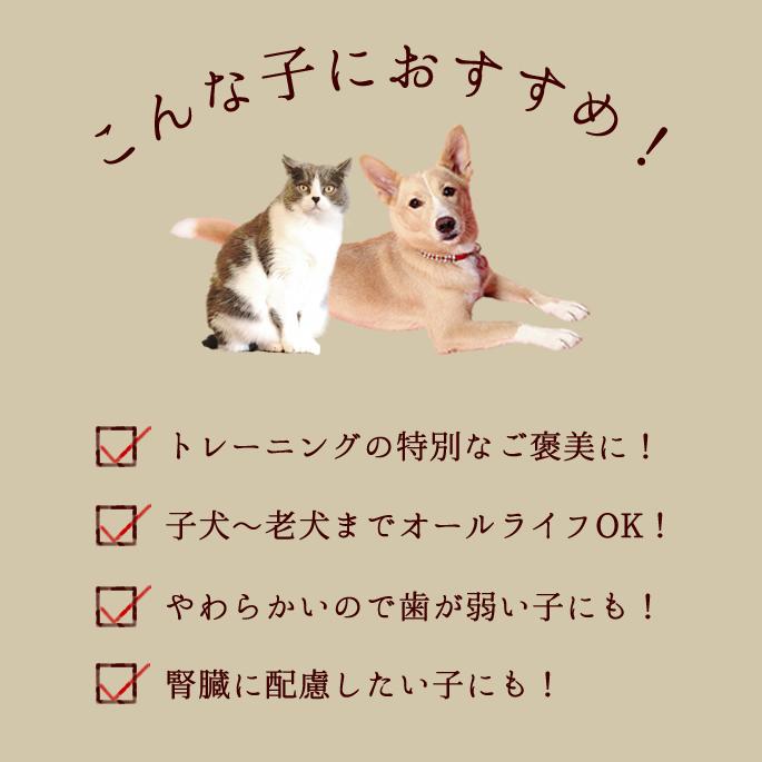 犬 おやつ 猫 ドッグフード ウェット ジャーキーとっておきのひとくちテリーヌ お試し2種セット (サーモン・チキン) 100g×2 ハウンドカム食堂 | 帝塚山ハウンドカム | 10