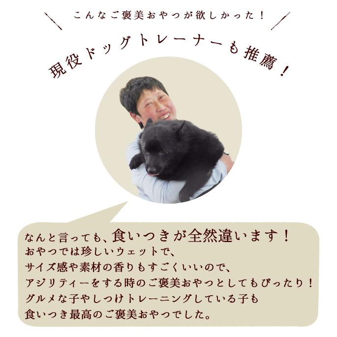 犬 おやつ 猫 ドッグフード ウェット ジャーキーとっておきのひとくちテリーヌ お試し2種セット (サーモン・チキン) 100g×2 ハウンドカム食堂 | 帝塚山ハウンドカム | 11