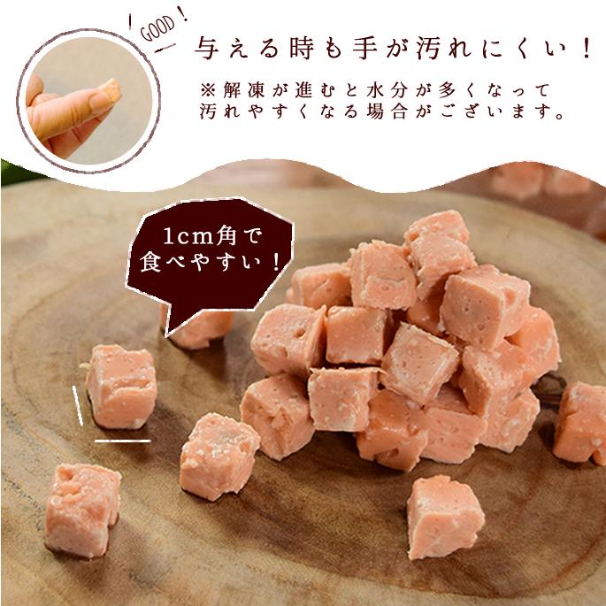 犬 おやつ 猫 ドッグフード ウェット ジャーキーとっておきのひとくちテリーヌ お試し2種セット (サーモン・チキン) 100g×2 ハウンドカム食堂 | 帝塚山ハウンドカム | 08