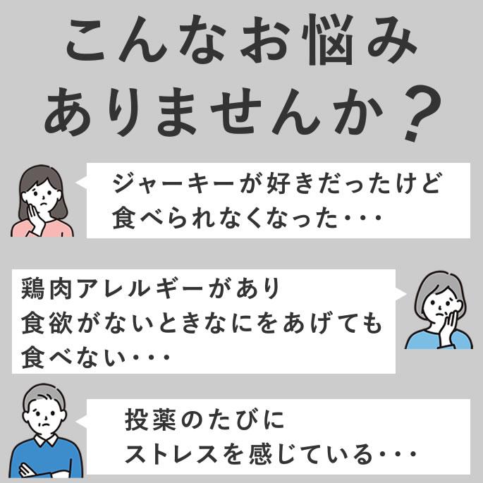 犬 おやつ 猫 ドッグフード ペットフード ウェット ジャーキー 鮭 魚 手作り とっておきのひとくちテリーヌ サーモン 100g×5袋 ハウンドカム食堂 | 帝塚山ハウンドカム | 10