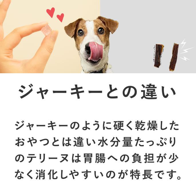 犬 おやつ 猫 ドッグフード ペットフード ウェット ジャーキー 鮭 魚 手作り とっておきのひとくちテリーヌ サーモン 100g×5袋 ハウンドカム食堂 | 帝塚山ハウンドカム | 11