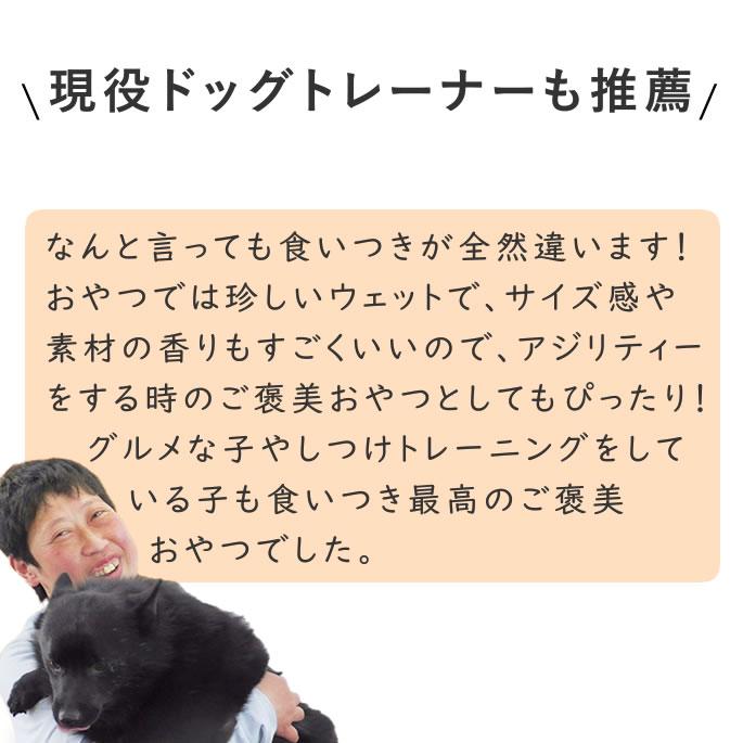 犬 おやつ 猫 ドッグフード ペットフード ウェット ジャーキー 鮭 魚 手作り とっておきのひとくちテリーヌ サーモン 100g×5袋 ハウンドカム食堂 | 帝塚山ハウンドカム | 12